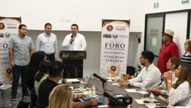 unen fuerzas para crear ley de salud mental