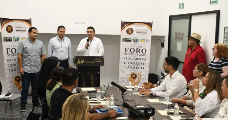 unen fuerzas para crear ley de salud mental
