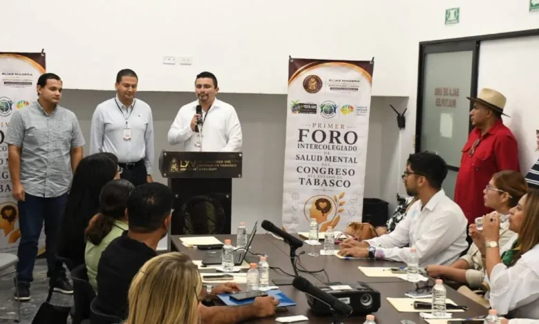 unen fuerzas para crear ley de salud mental