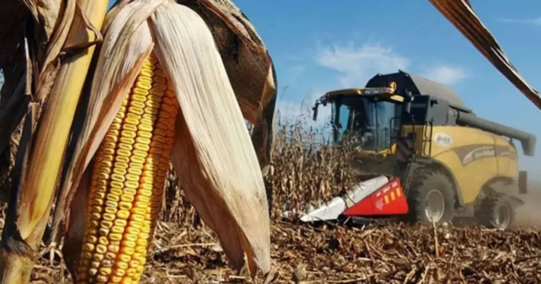 Fertilizantes lideran el aumento de precios en mercados internacionales: Banco Mundial
