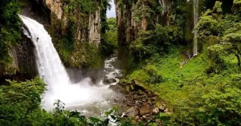 cañón de pextlán en xico la aventura de caminar sobre el agua en uno de los paisajes más impresionantes de veracruz