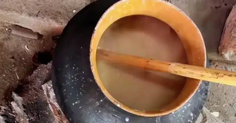 chone, la ancestral bebida oaxaqueña que preserva siglos de tradición gastronómica