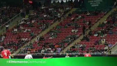 Cinco partidos de 15 han presentado llenos en los estadios del Mundial
