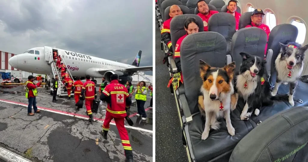 cruz roja mexicana envía equipo usar a venezuela para apoyar en labores de búsqueda y rescate
