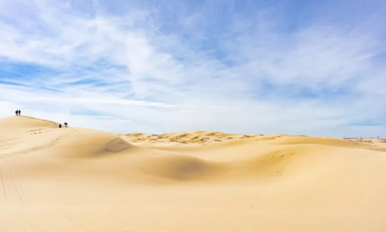 dunas de samalayuca el tesoro natural y arqueológico que sorprende en el desierto de chihuahua