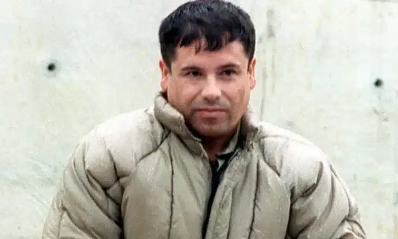 "El Chapo" suma 15 cartas a Corte de NY, exige su extradición (Foto de internet)