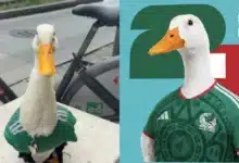 Patito futbolista Merlín conquista a los aficionados del Mundial 2026 (Fotos de cortesía)