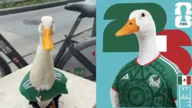 Patito futbolista Merlín conquista a los aficionados del Mundial 2026 (Fotos de cortesía)