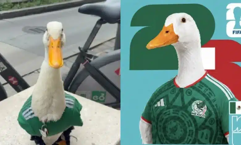 Patito futbolista Merlín conquista a los aficionados del Mundial 2026 (Fotos de cortesía)