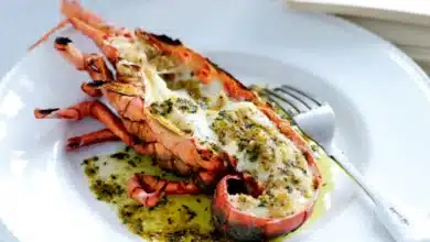 Experiencias gastronómicas: mejores recetas para comer langosta (Foto de internet)
