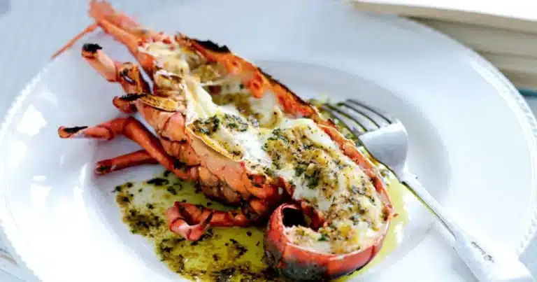 Experiencias gastronómicas: mejores recetas para comer langosta (Foto de internet)