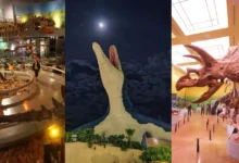 Mejores museos de dinosaurios en México (Fotos de internet y Jonathan Pineda)