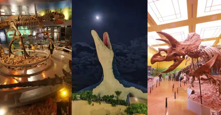 Mejores museos de dinosaurios en México (Fotos de internet y Jonathan Pineda)