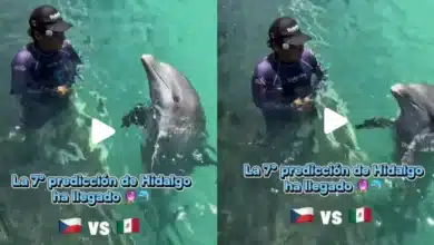 México vs Chequia: Delfín Hidalgo predice marcador del partido (Fotos de internet)