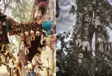 ¿Has visitado la Isla de las Muñecas en Xochimilco? (Fotos de internet)