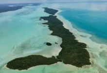 isla tamalcab, el tesoro escondido del caribe mexicano en el sur de quintana roo