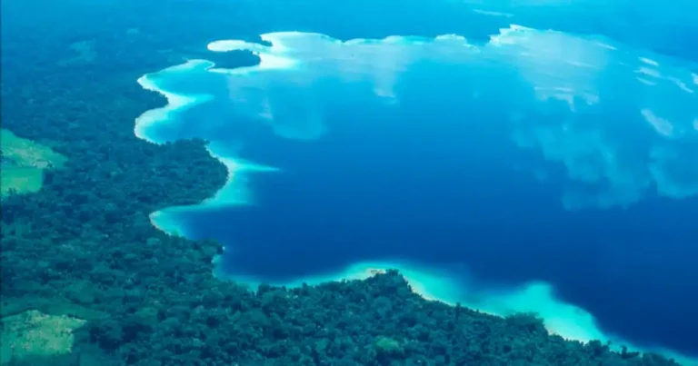 laguna miramar, el tesoro natural escondido en el corazón de la selva lacandona