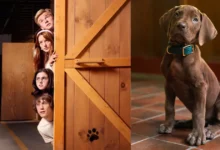 lanzan el primer tráiler de la serie scooby doo origins