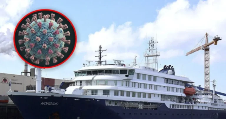 oms prevé el fin del brote de hantavirus en el crucero mv hondius