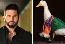 poncho de nigris ofrece hasta 800 mil pesos por el pato merlín y desata debate en redes