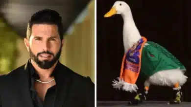 poncho de nigris ofrece hasta 800 mil pesos por el pato merlín y desata debate en redes