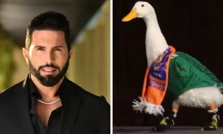 poncho de nigris ofrece hasta 800 mil pesos por el pato merlín y desata debate en redes