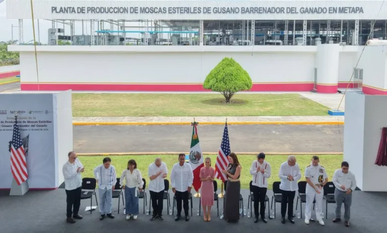 Claudia Sheinbaum inaugura planta de producción de moscas estériles del gusano barrenador del ganado en Metapa de Domínguez, Chiapas 