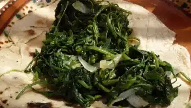 quelites en puebla tradición, nutrición y cultura viva en la temporada de cosecha