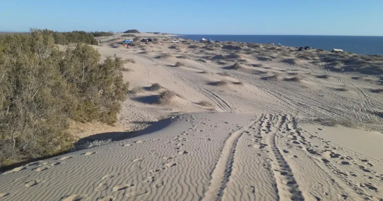 sahuimaro, el tesoro escondido de sonora donde el desierto se encuentra con el mar