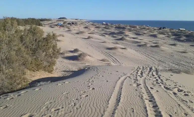sahuimaro, el tesoro escondido de sonora donde el desierto se encuentra con el mar