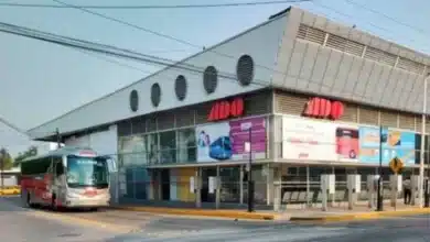 ado incrementa 30% sus corridas por temporada vacacional