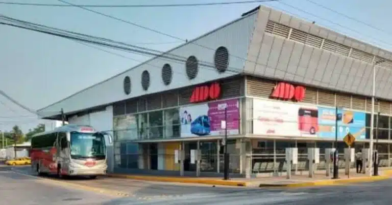 ado incrementa 30% sus corridas por temporada vacacional