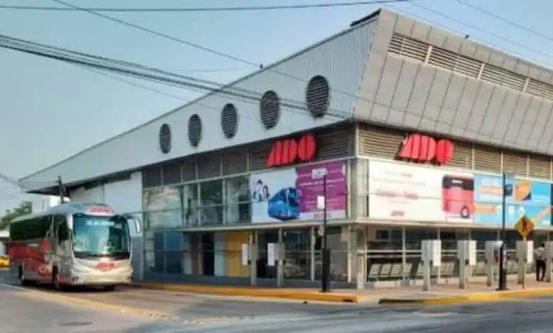 ado incrementa 30% sus corridas por temporada vacacional