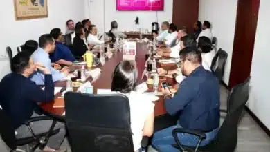 alianza estratégica para el desarrollo
