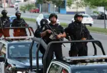 aseguran 600 kilos de marihuana, armas y pirotecnia en operativos coordinados
