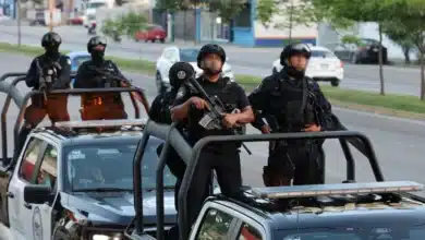 aseguran 600 kilos de marihuana, armas y pirotecnia en operativos coordinados