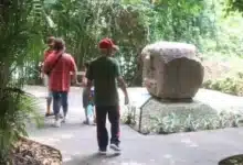 avanza con fuerza el rescate integral del parque museo la venta