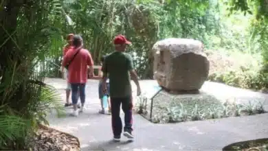 avanza con fuerza el rescate integral del parque museo la venta