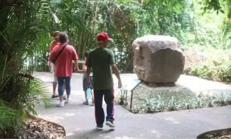 avanza con fuerza el rescate integral del parque museo la venta