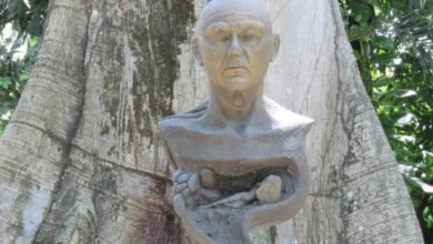 avanza remodelación del parque “museo la venta
