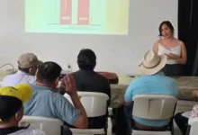 buscan modernizar la movilidad sin asfixiar al mercado pino suárez