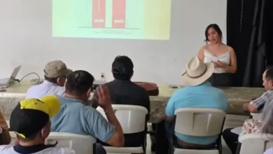 buscan modernizar la movilidad sin asfixiar al mercado pino suárez