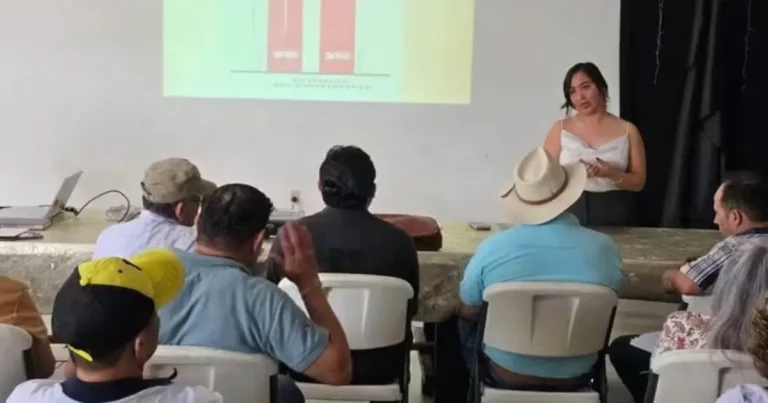 buscan modernizar la movilidad sin asfixiar al mercado pino suárez