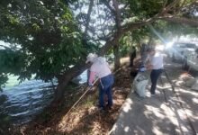 buscan sumar ciudadanos al rescate de la laguna