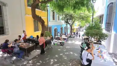 centro y estado coordinan acciones para fortalecer al barrio mágico
