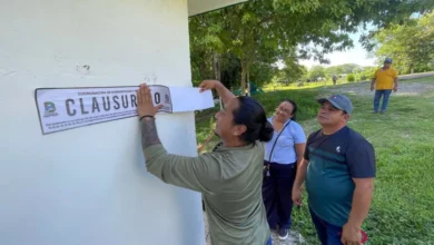 clausuran cascadas de reforma por ataque de fauna silvestre