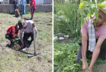 conafor invierte 47 mdp en proyectos ambientales