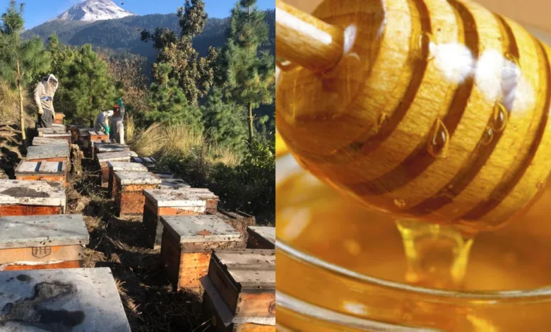 denuncian negligencia ante venta de miel adulterada