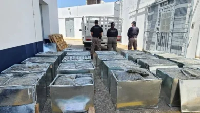 detectan y aseguran cargamento millonario de marihuana