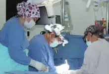 El latido que renació en la oscuridad